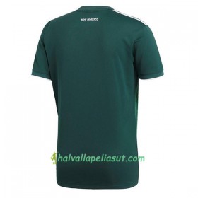 Jalkapallo Pelipaidat Meksiko Naisten World Cup 2018 Kotipaita